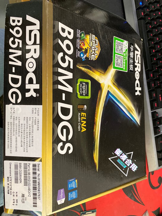 华擎B95M-DGS主板，芝奇DDR316008G