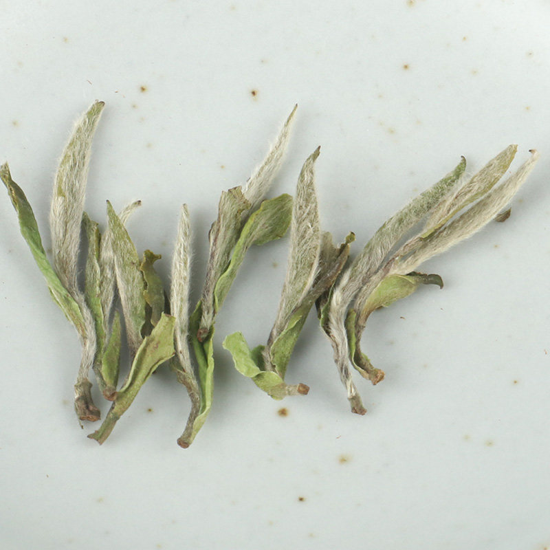 后溪.特级.白牡丹【磻溪茶区】