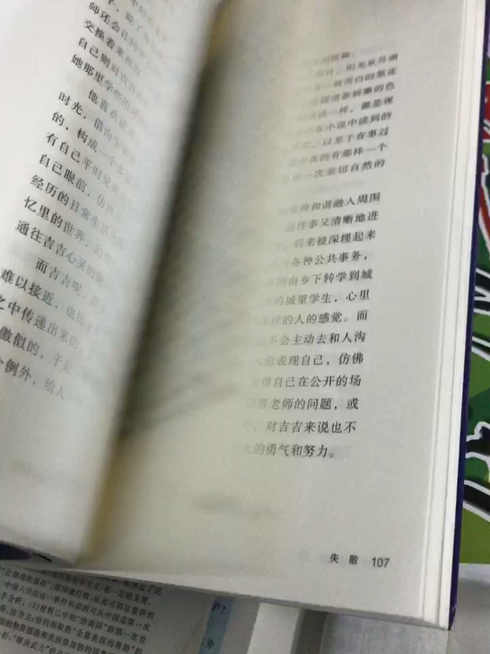 《余香》丁丁著