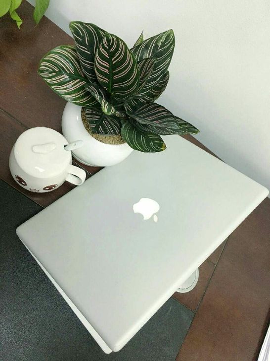 苹果笔记本电脑MacBookPro自用的电脑!没有任