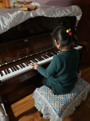 真实质量反馈Palatino帕拉天奴钢琴怎么样？评价好吗？