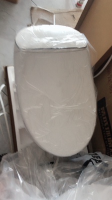 真实使用感受卡罗纳马桶是几线品牌，质量怎么样，用着好不好用呢？