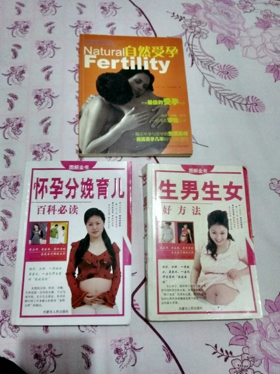 怀孕类丛书，三本共计25元，包邮，非新书，八五成新！（偏远地