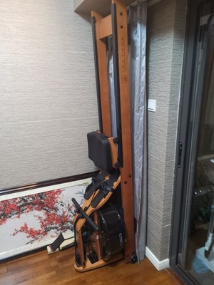 品牌对比下哇咖和海德划船机哪个好?哪个质量好性价比高?