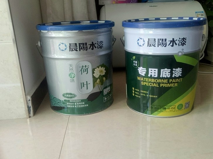 晨阳水漆，荷叶净味，一桶面漆一桶底漆，装修剩下的，适合90平