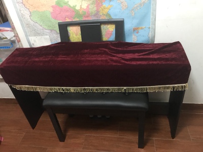 大神评测雅马哈电钢琴怎么样？真的有那么好吗？价格好高