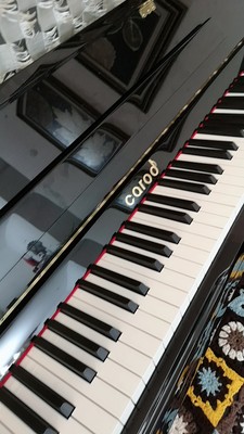 专业点评：博兰德钢琴怎么样？适合刚学琴的小朋友呢？