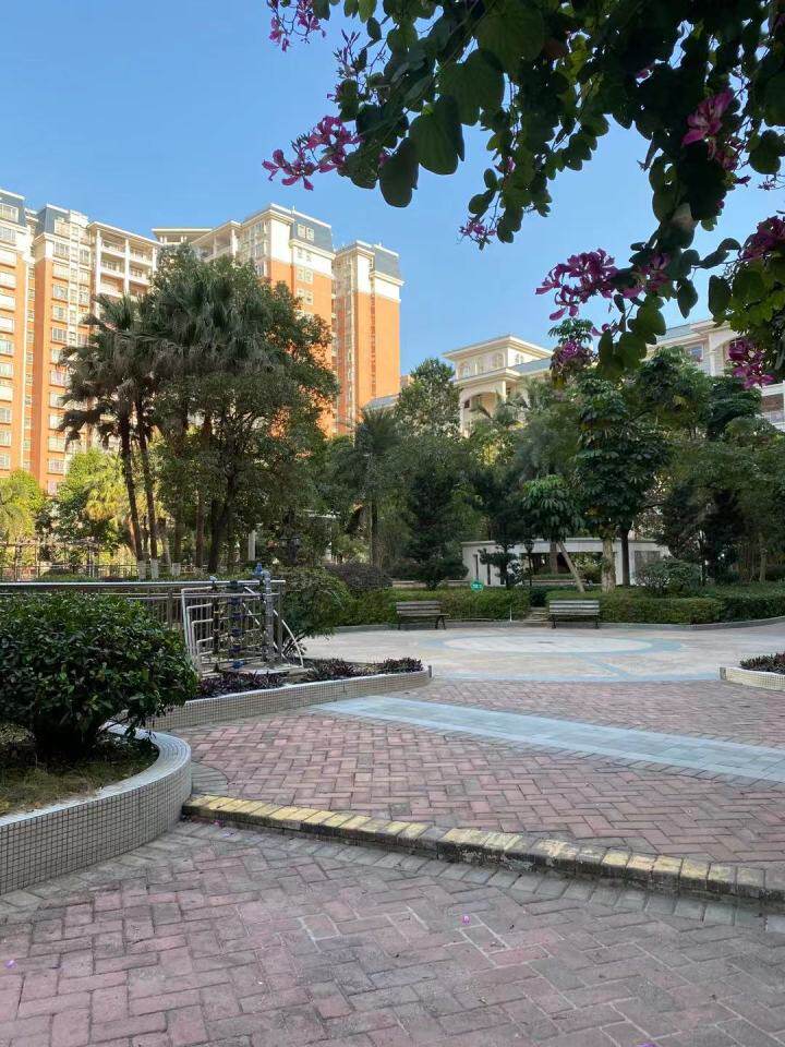 肇庆市鼎湖区帝豪花园9-11幢11-1105房(复式)