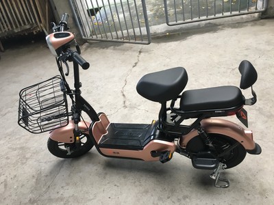 凤凰锂电池折叠电动车好不好?评价如何?用后口碑反馈好吗