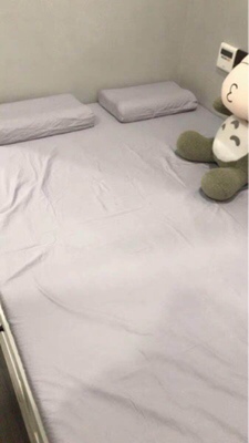 调查心得用过的分享下东宝床垫怎么样，质量好不好？是名牌吗？