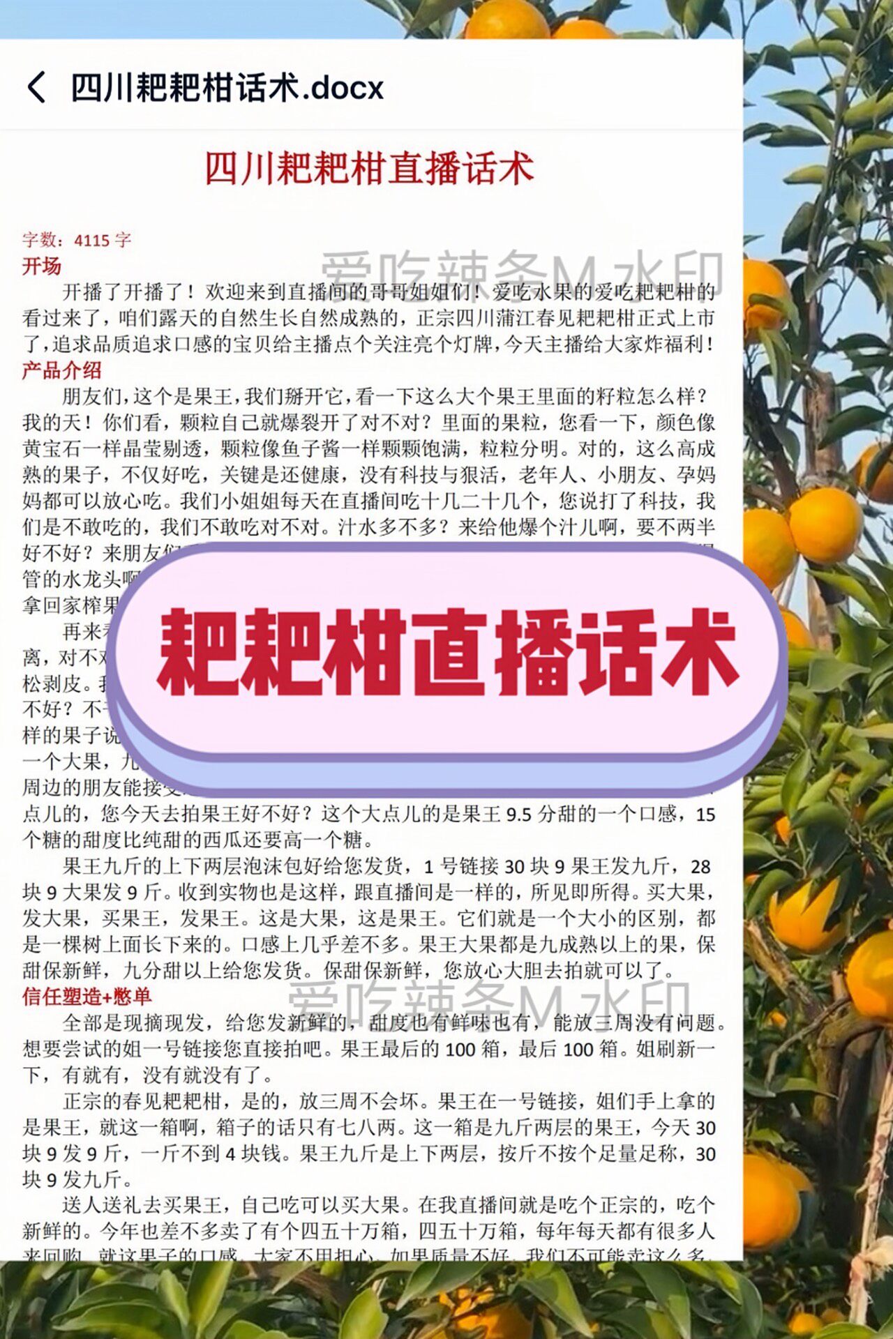 耙耙柑直播话术四川春见耙耙柑带货话术脚本