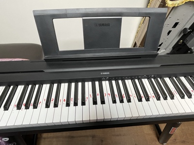 新入坑小白吐槽雅马哈电钢琴p48b评测性能