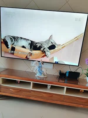 新买的索尼电视怎样看真伪，网上买的有假的吗？