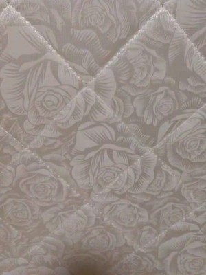 谁评测下爱舒床垫怎么样?入手半年分享!