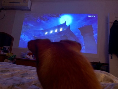 【使用1年反馈】微型投影仪微鲸M1怎么样？属于什么档次？