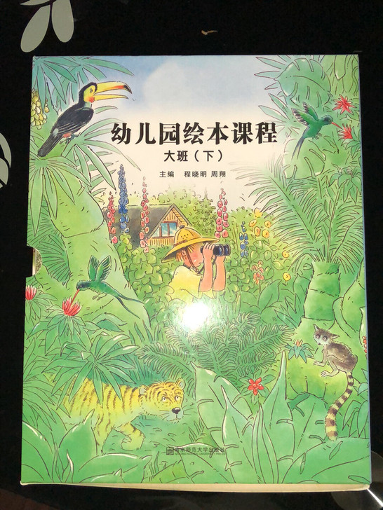 幼儿绘本东方娃娃大班，一套8本，几乎全新。