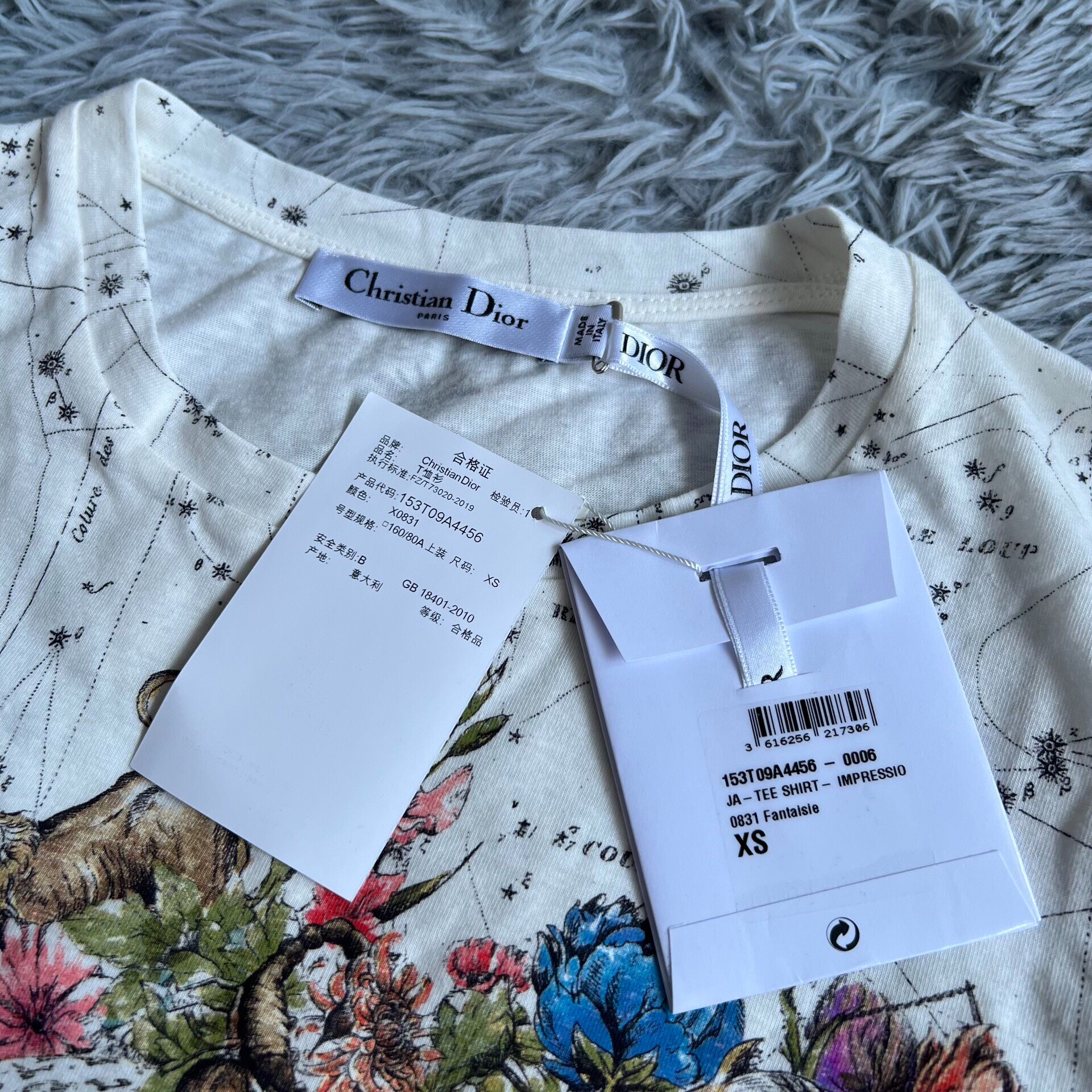Dior Constellation Print Short-Sleeve T-Shirt — front