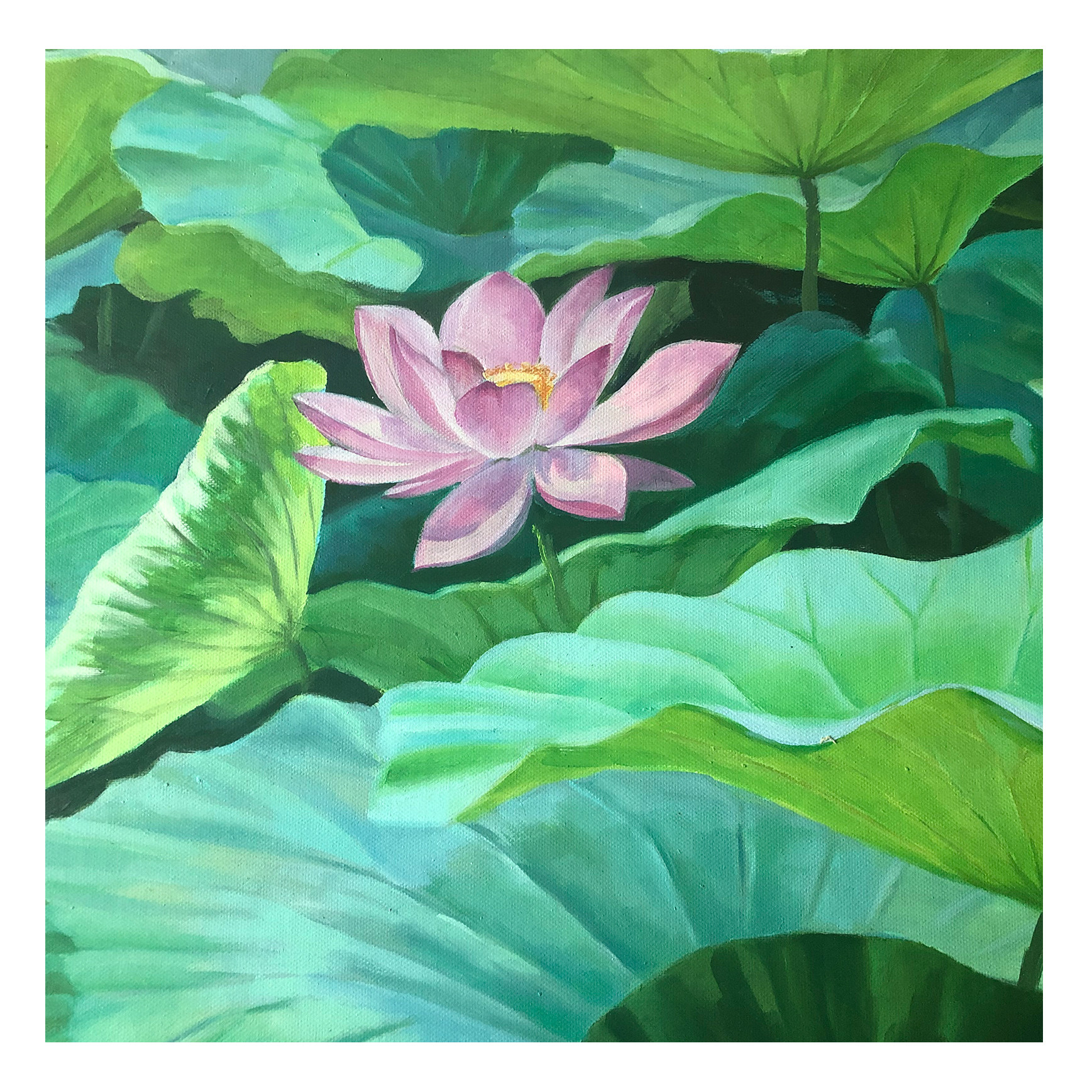 朝鲜油画 洪成龙《荷塘》 平壤美术大学 星朝美术馆 风景