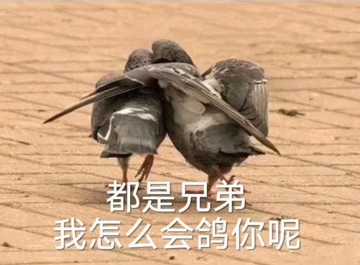 买个对象？帮你拜佛！