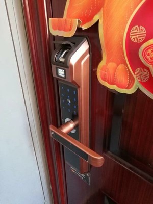 点评评测了解德施曼S8家用指纹锁怎么样？好不好用呢？