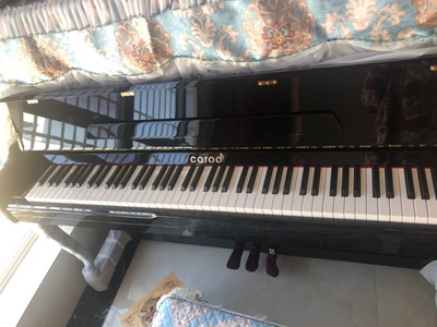 专业点评：博兰德钢琴怎么样？适合刚学琴的小朋友呢？