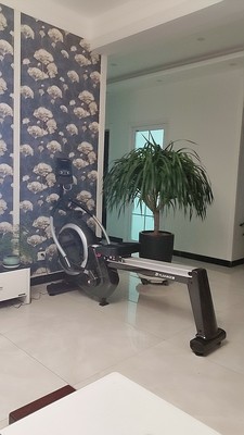 健身爱好者评测下莫比划船机好不好？一个月后真实感受