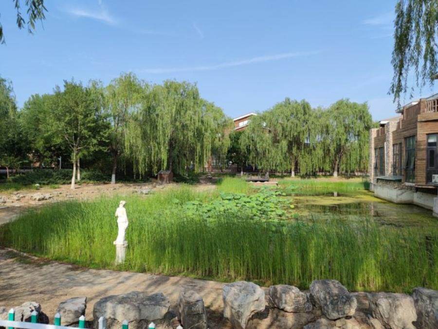 北京市昌平区百善镇林溪园3-25号楼-1至2层3-25-2号(实际门牌:c区26-2