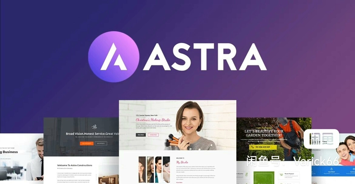 Astra Pro主题插件软件开发