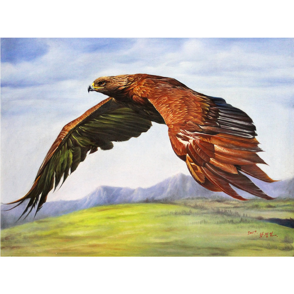 朝鲜一级画家 朴京日《鹰》c3192 装饰收藏