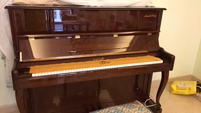 用心点评TheONE智能钢琴怎么样？一个月亲身使用感受