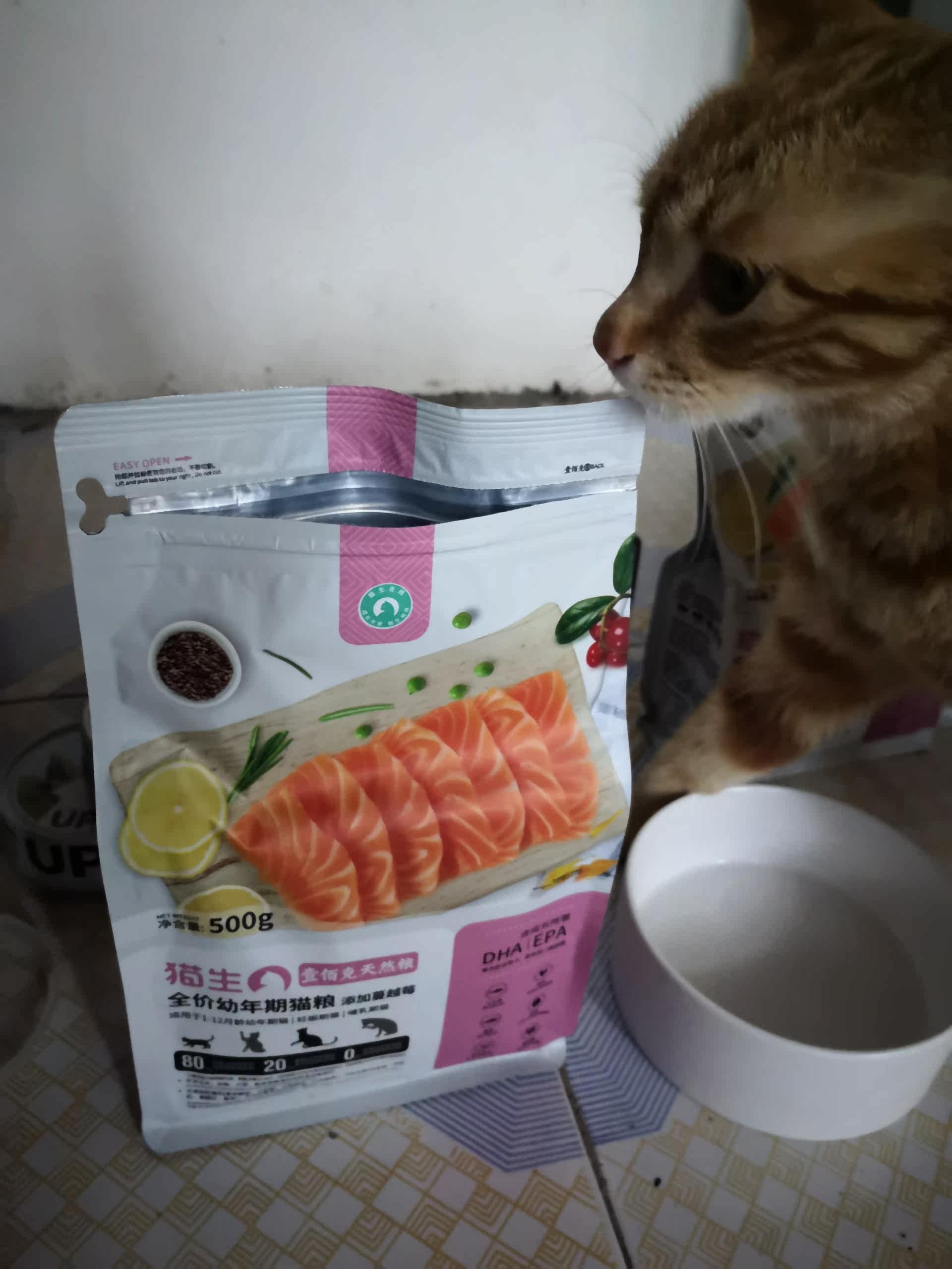 猫生猫粮怎么样
