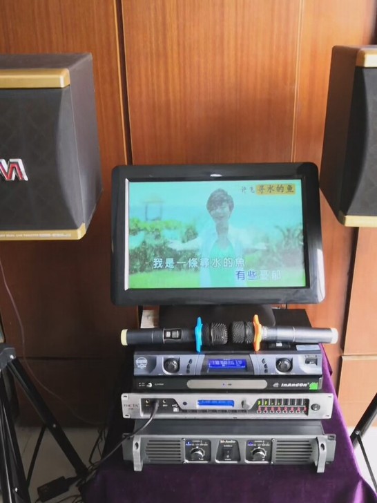 日本DAM达姆十二寸高档KTV音响套装
