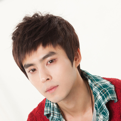 无痕递针男士逼真真人发假发套 中老年男士短发假发 手织透气发套