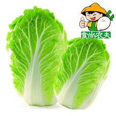 食尚农夫农家大白菜 有机绿色新鲜蔬菜配送500克 广东福建88包邮