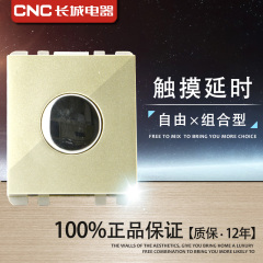 CNC长城开关 118型开关 触摸延时开关功能件拉丝香槟金V6-658