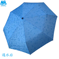 浩宏 特价新款遇水开花雨伞魔术伞长柄伞自动伞遇水开花雨伞两款