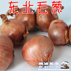 东北毛葱 鬼子葱 小葱 小毛葱 500g