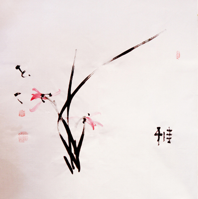 免费午餐 延参法师作品 斗兰《雅》