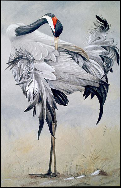 苏绣diy套件初学仙鹤大画画心新手入门刺绣装饰画苏绣