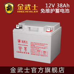 原装正品 金武士UPS电池 12V38AH 高品质全密封免维护铅酸蓄电池