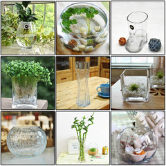 包邮 园艺用品 透明玻璃 花瓶 花盆 水培瓶子 水培花卉专用盆