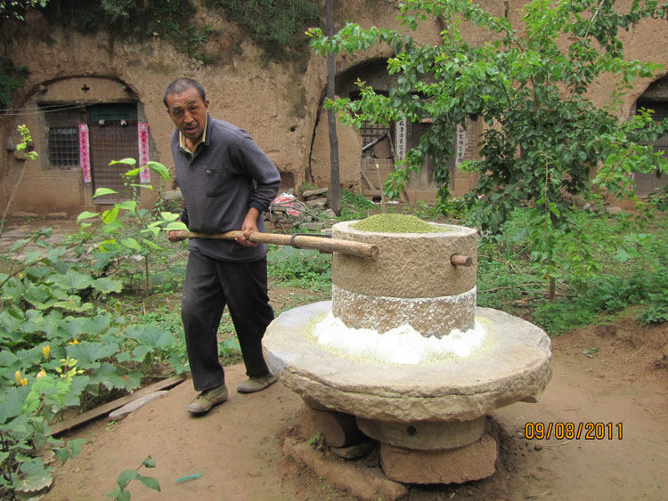 绿豆面粉 纯大额优惠券