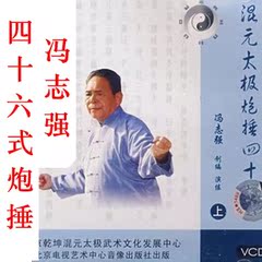 冯志强 陈式混元太极炮捶46式 2VCD