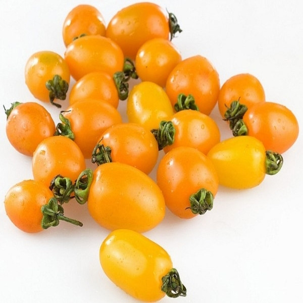 台湾农友经典【黄圣女果种子】番茄种子 口感好黄番茄 产量超高