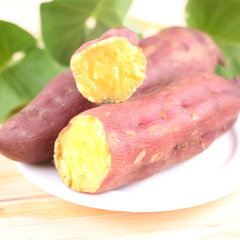 龙游板栗小红薯 迷你小番薯出口基地生产 新鲜地瓜500g 3斤起包邮