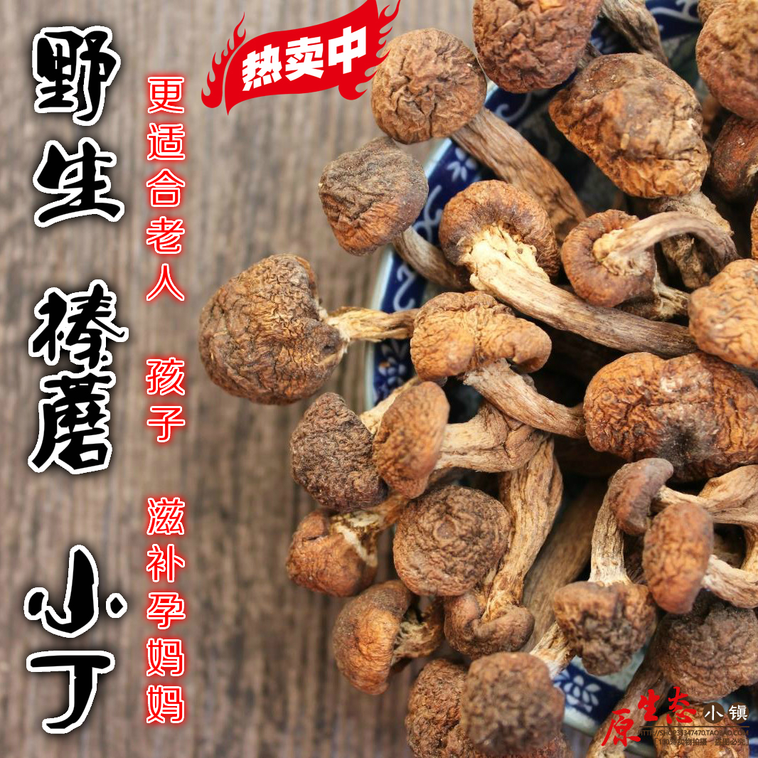 Daxinganling wild Hazel mushroom dried food Hazel mushroom Northeast Specialty Hazel mushroom 250 gram Chicken mushroom stewin the Agri rice/Dried foods/Condiment , Dried foods/Meat Dry , Dry/Native , Mushroom category category - from Buy2taobao.com to provide professional Taobao agent buy service