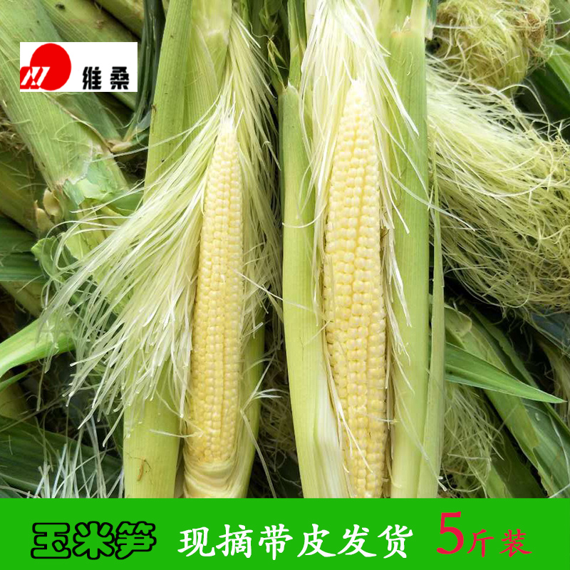 Baby corn fresh Net weight 5 jin Baby corn Baby corn Mini Baby corn Farm Baby cornin the Aquatic meat/Fresh fruits and vegetables/Cooked , Fresh vegetables/Vegetable products , Fresh vegetables , Fresh corn category - from Buy2taobao.com to provide professional Taobao agent buy service