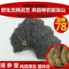 滋参堂 百分百野生灵芝片切片正品纯野生灵芝整支切片打粉50g特价