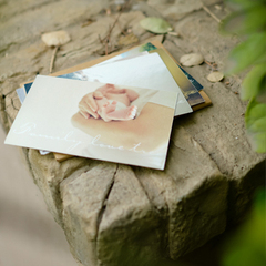 北京Tree家庭摄影婴儿儿童摄影新生儿百日亲子全家福定制明信片
