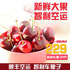 【阳光鲜果】智利车厘子 新鲜进口水果  脆甜樱桃 XL规格 4斤装